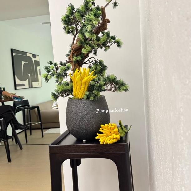 彤宸电子商务严选店