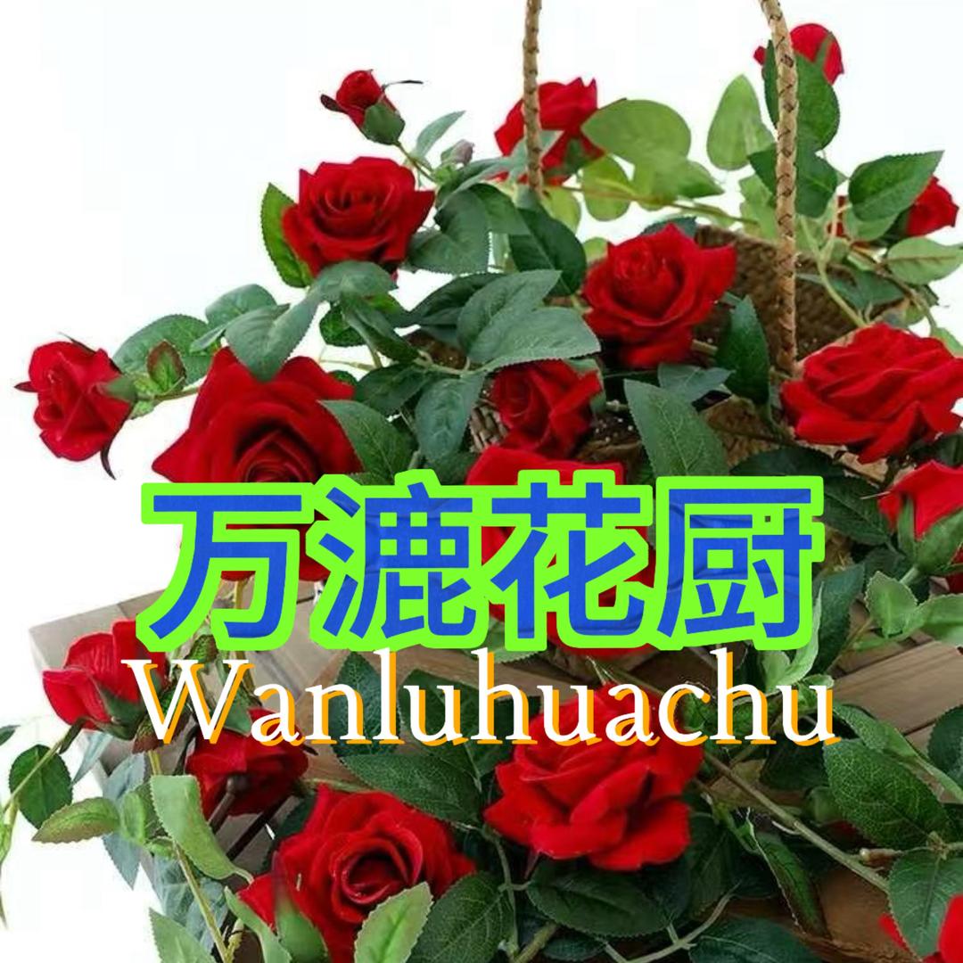 万漉花厨
