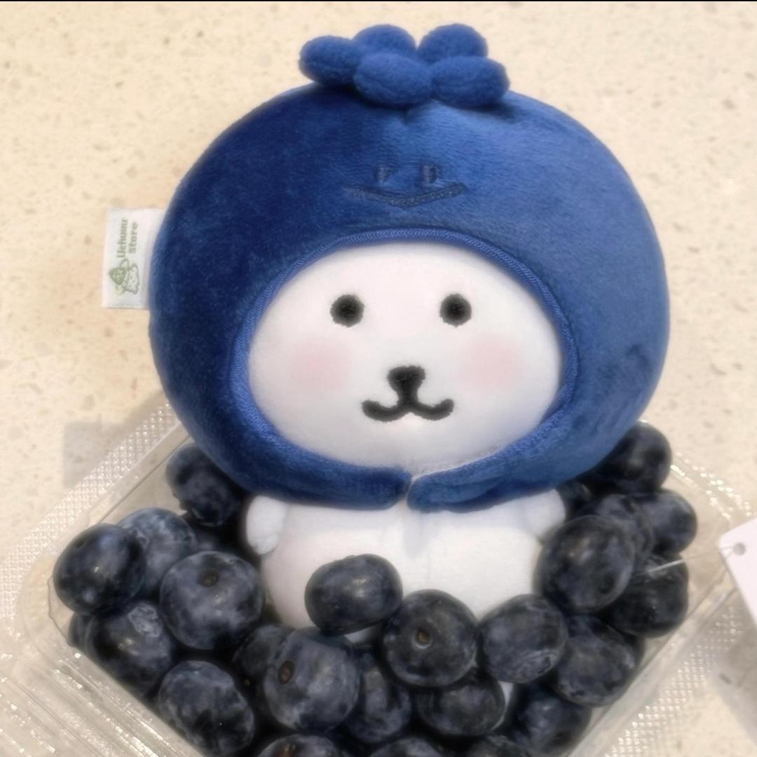 蓝莓艿茜