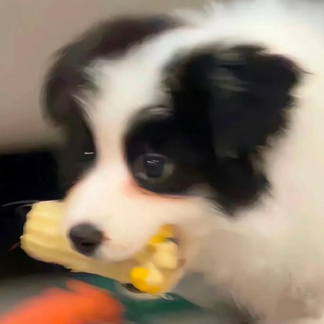 破忒头做的超绝爆辣扭扭薯条🍟