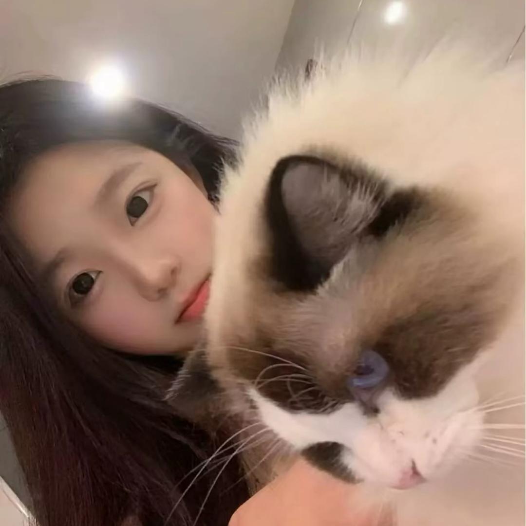 𝐘🐾