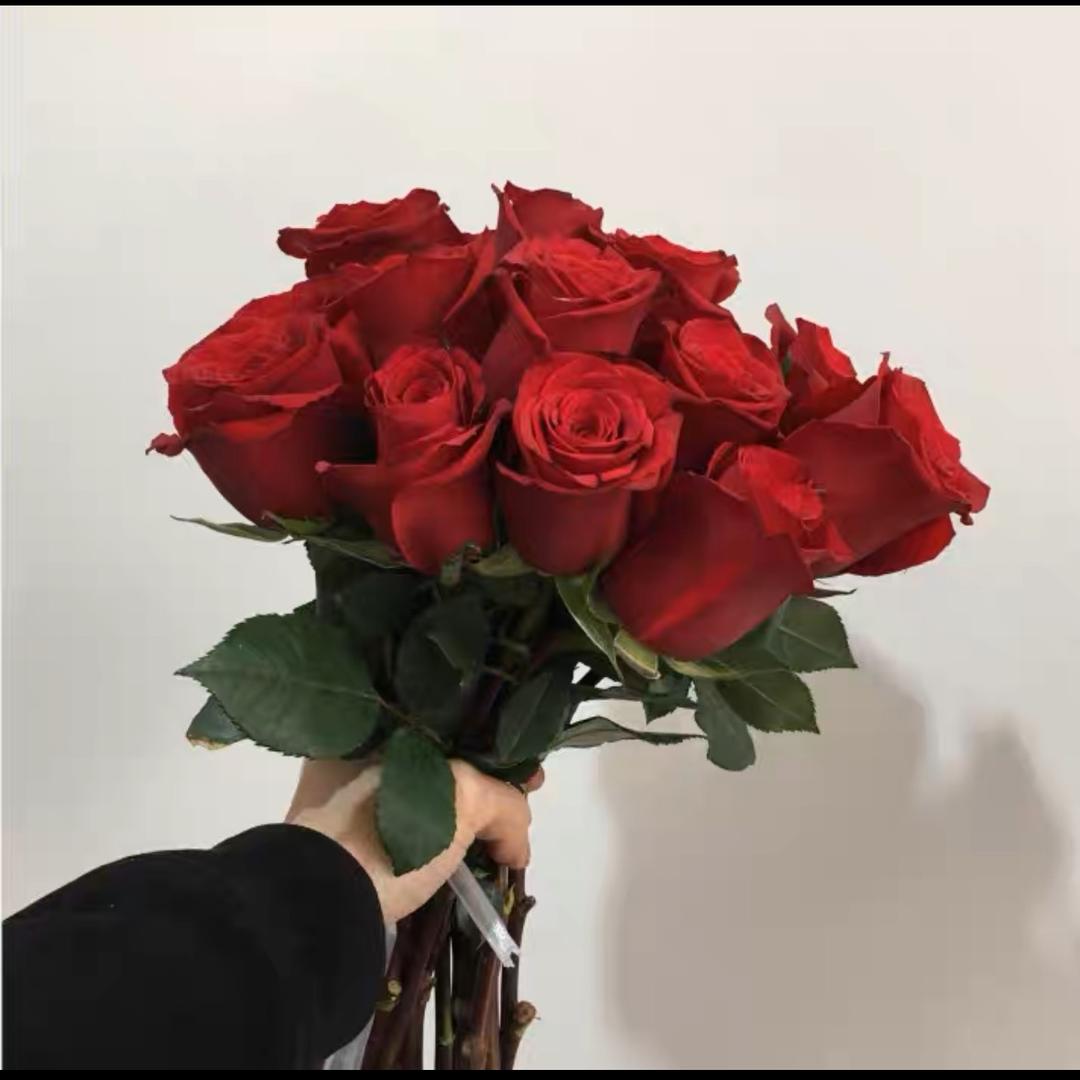 喜花仕园林花卉