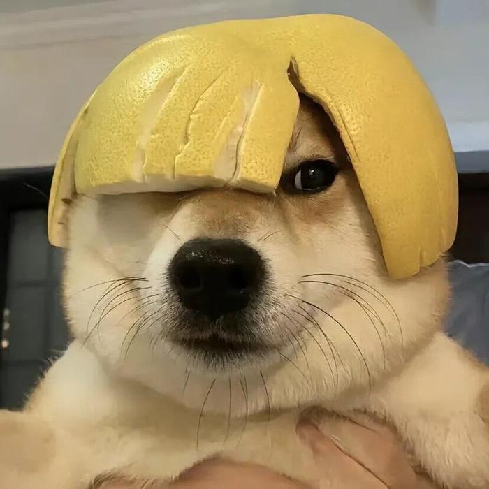 小东东带玩管家