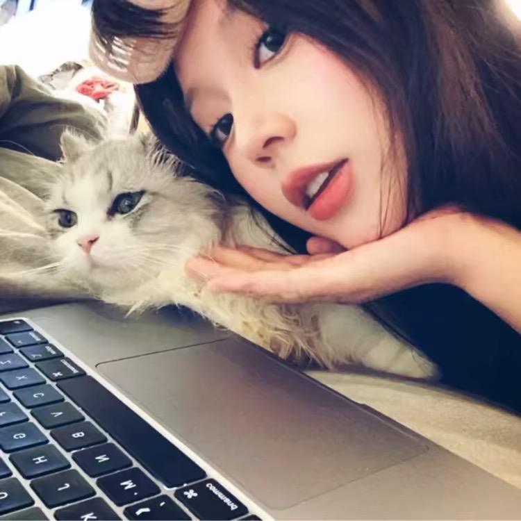 失眠小狗