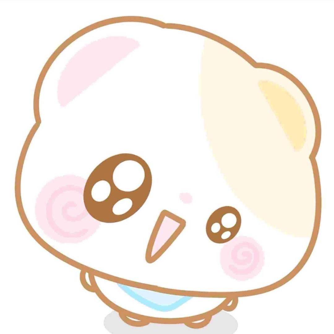 高考状元马嘉祺