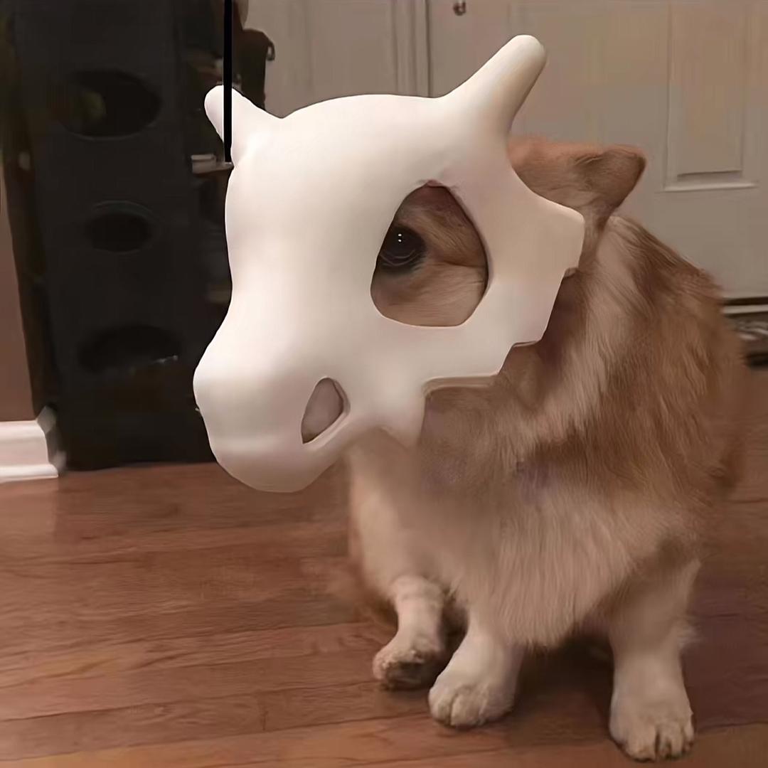 肥肉先生
