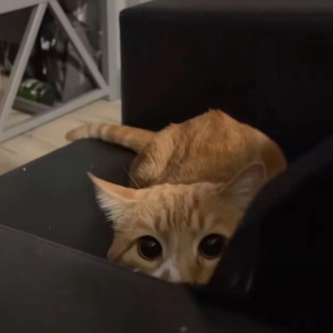 _