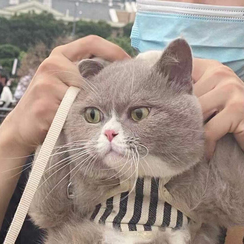 练不大的u