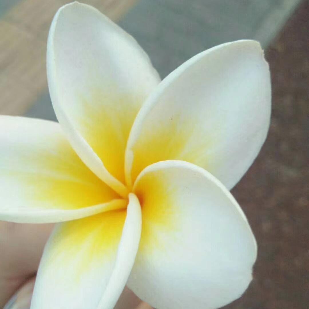 妹妹呀
