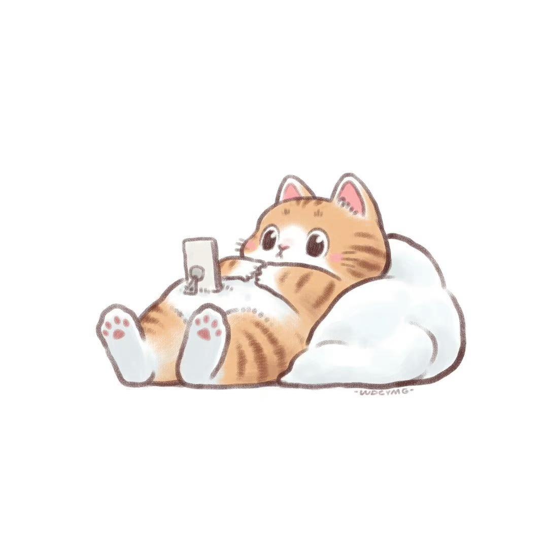 一只懒猫977