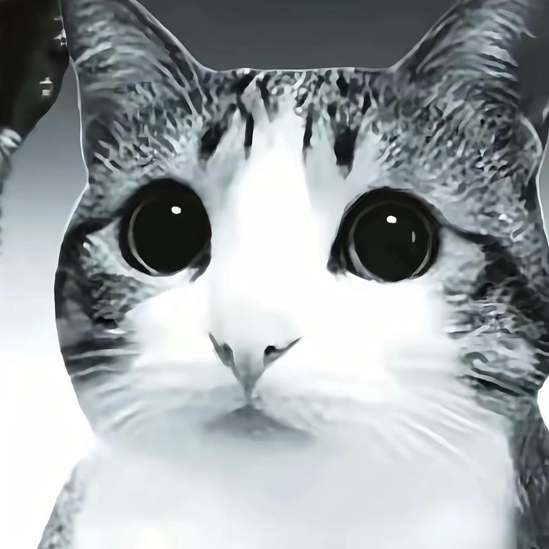 空悲切                .