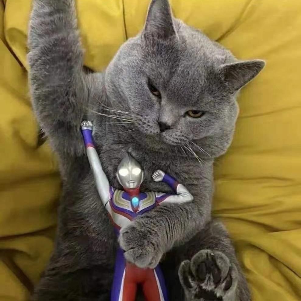 Yy.(啥都鼓捣版)