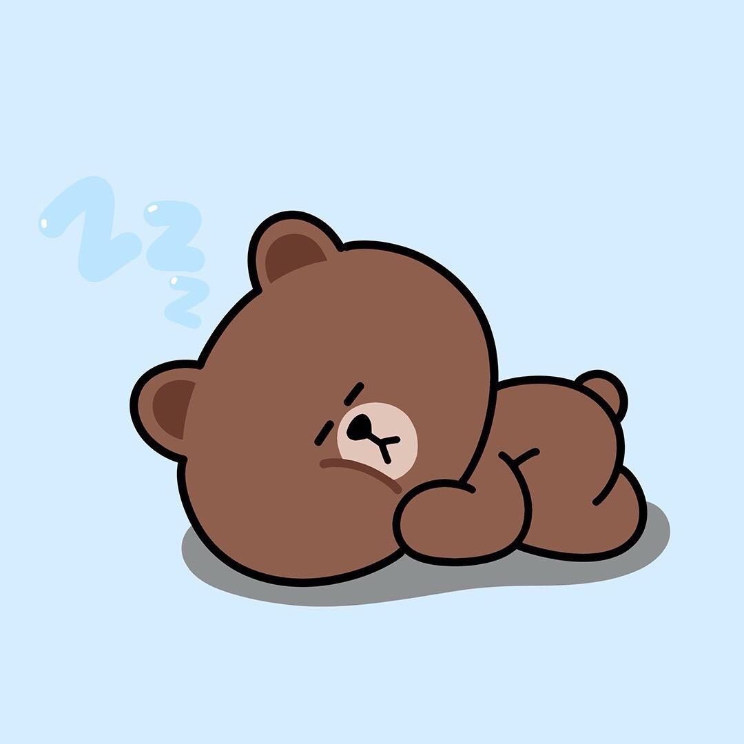 海边熊
