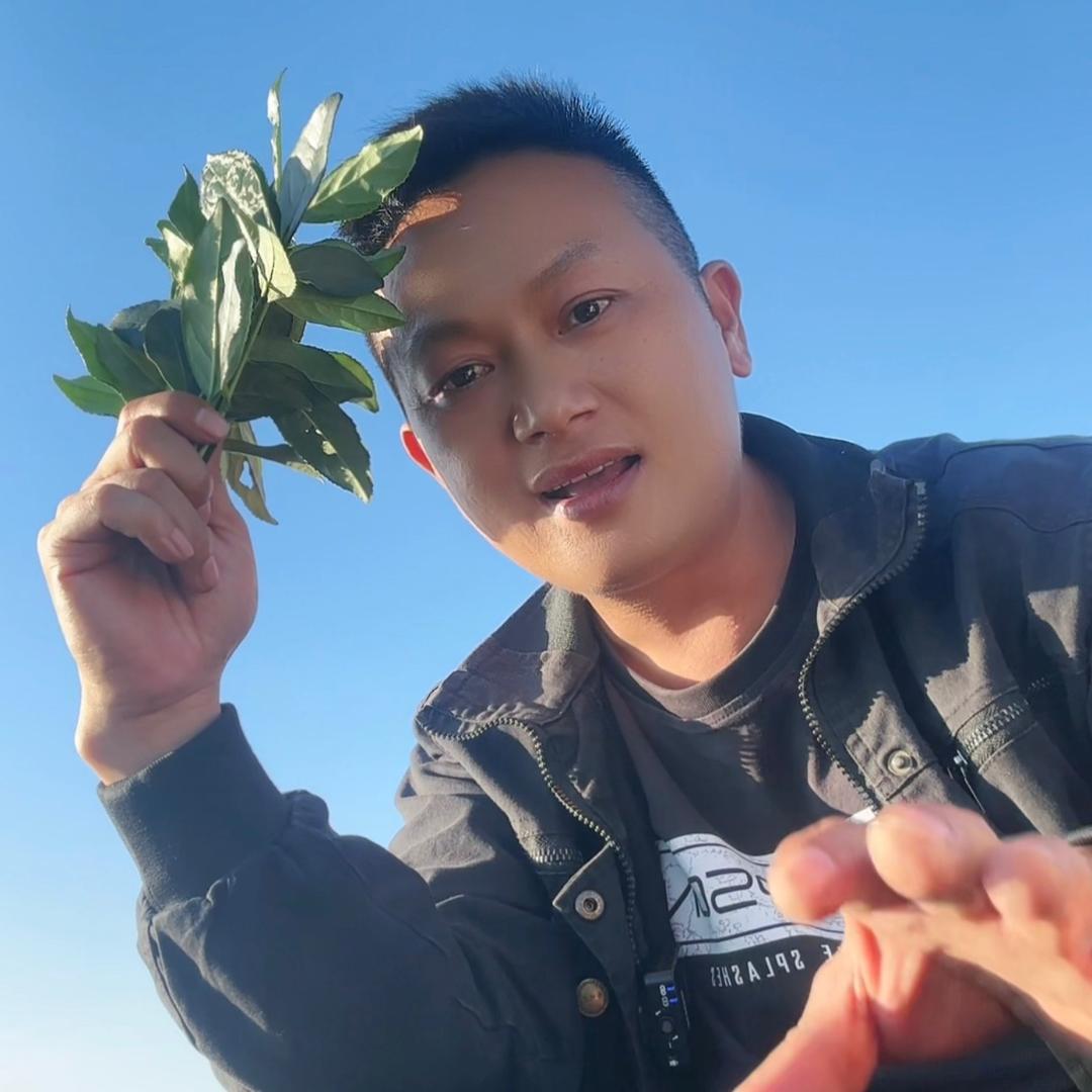 山农好茶(专注安溪铁观音)