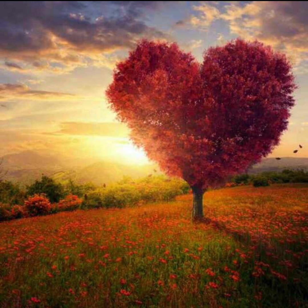 💕暖心向阳🐍