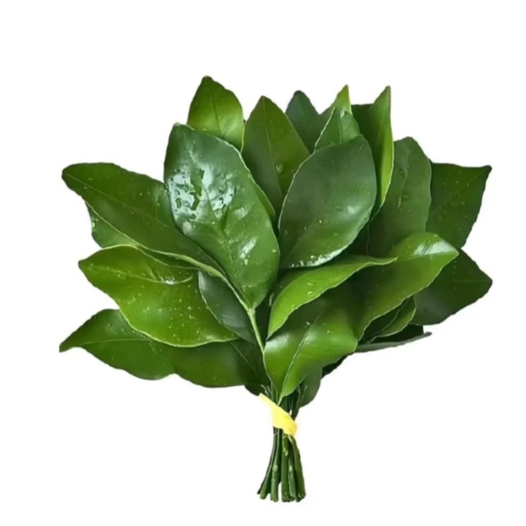 土豆^