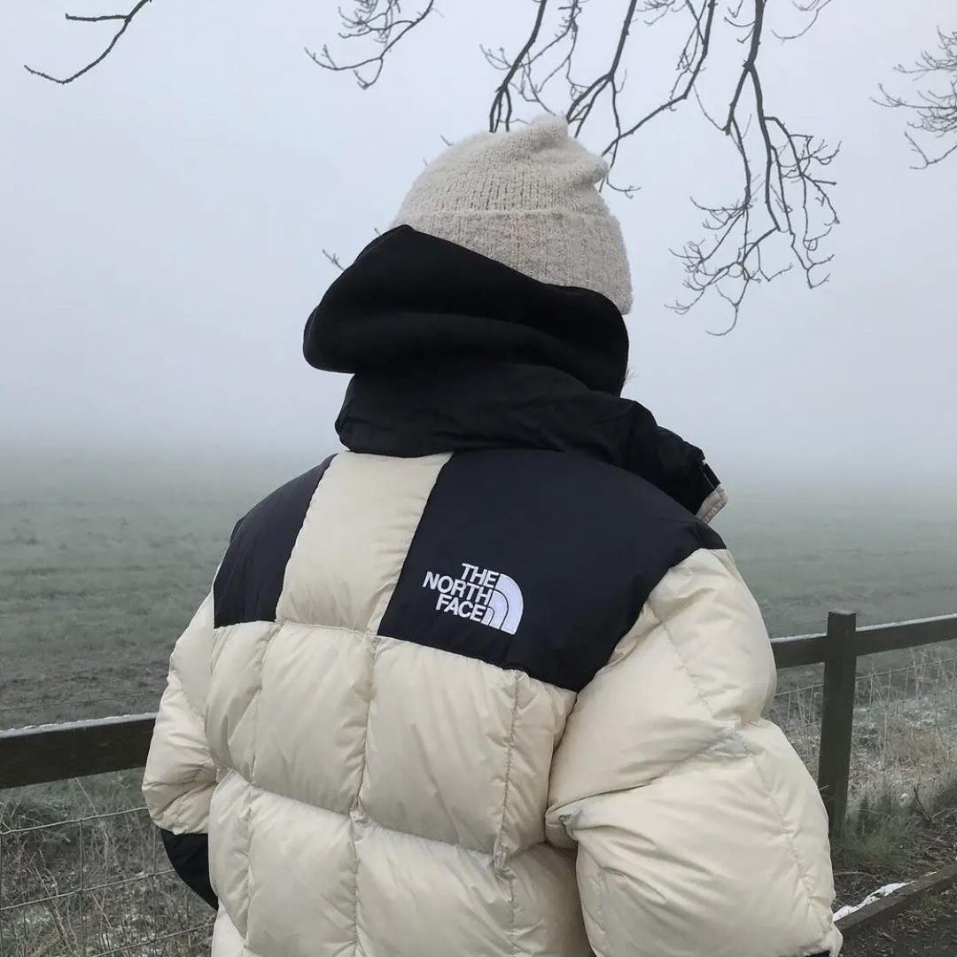 八戒是只汪