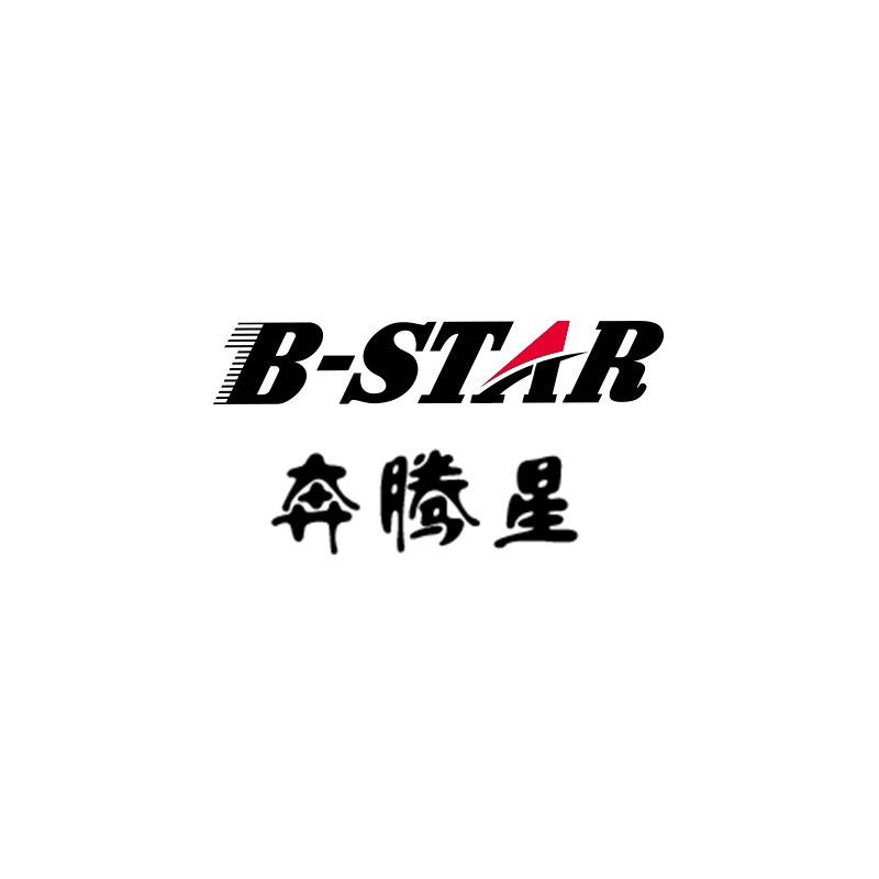 奔腾星车品