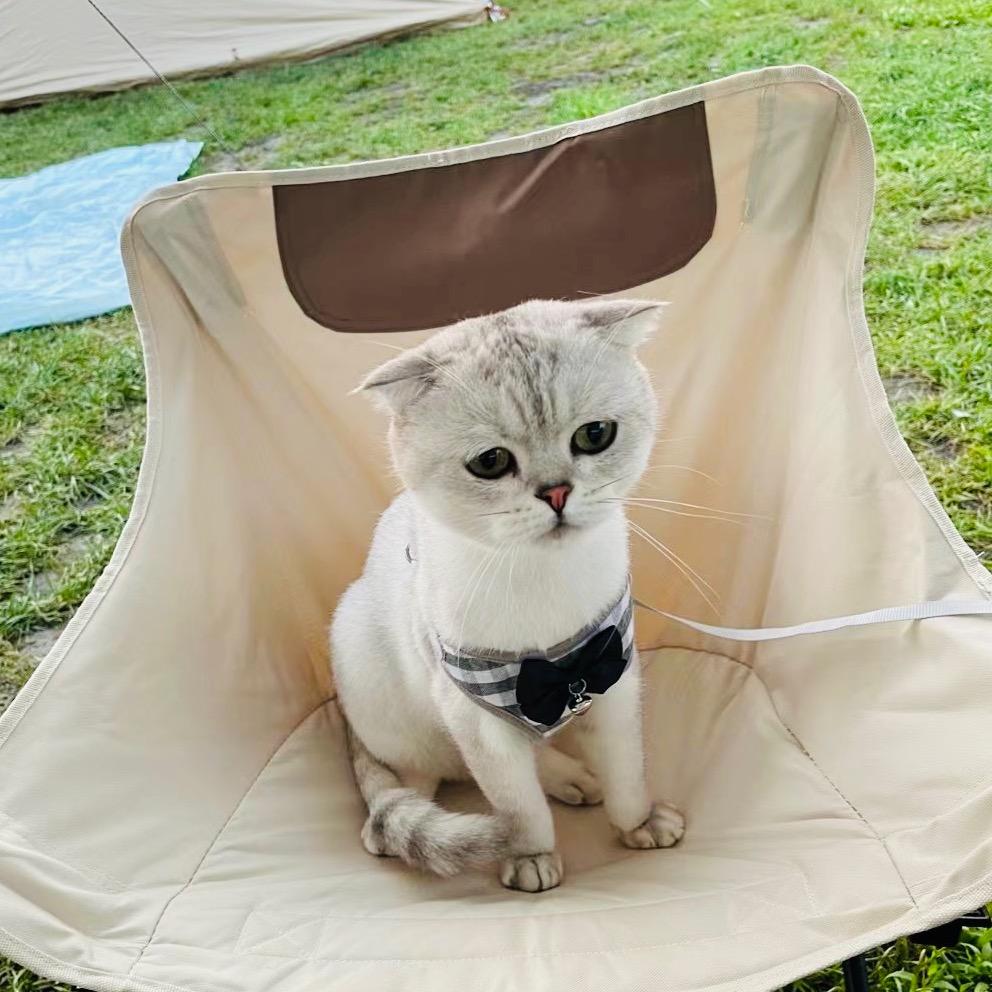 八喜🐱