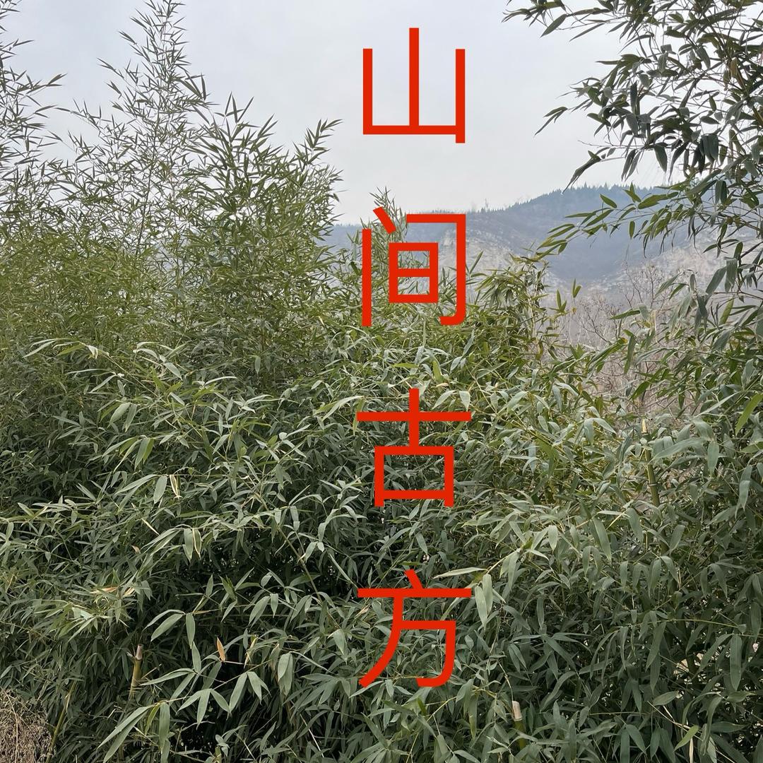 山间百草