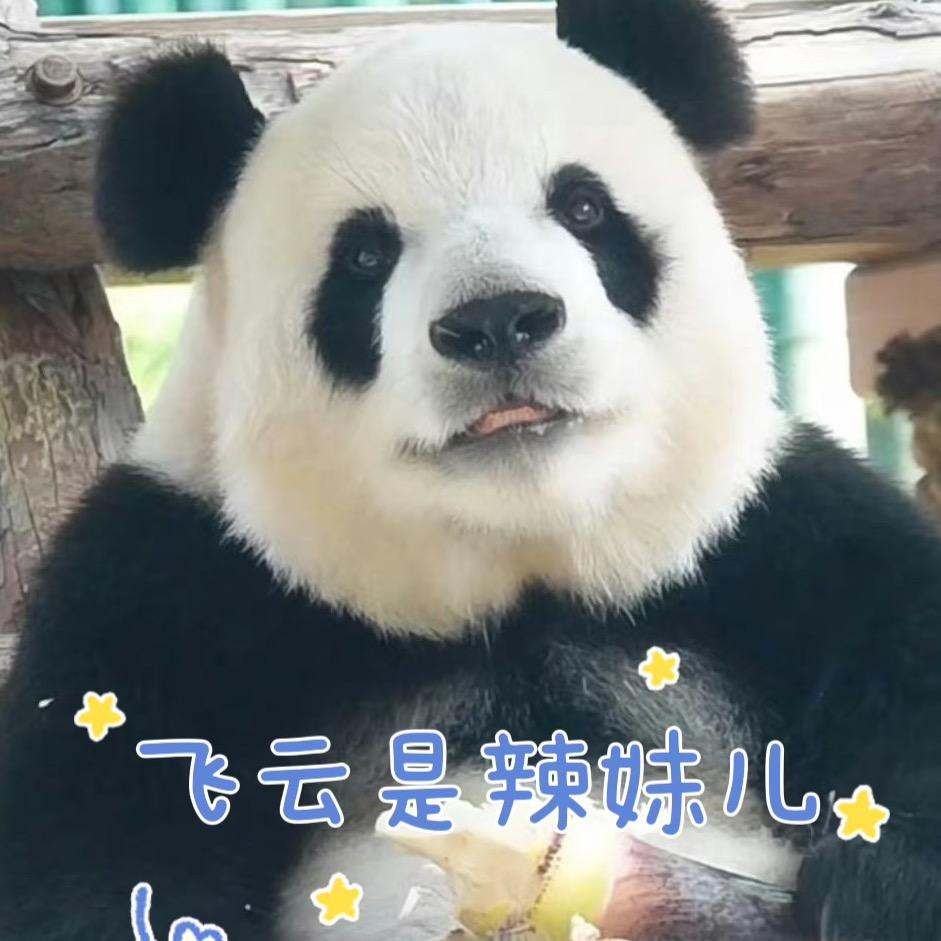 戴珍珠耳环的Sunny喵头像