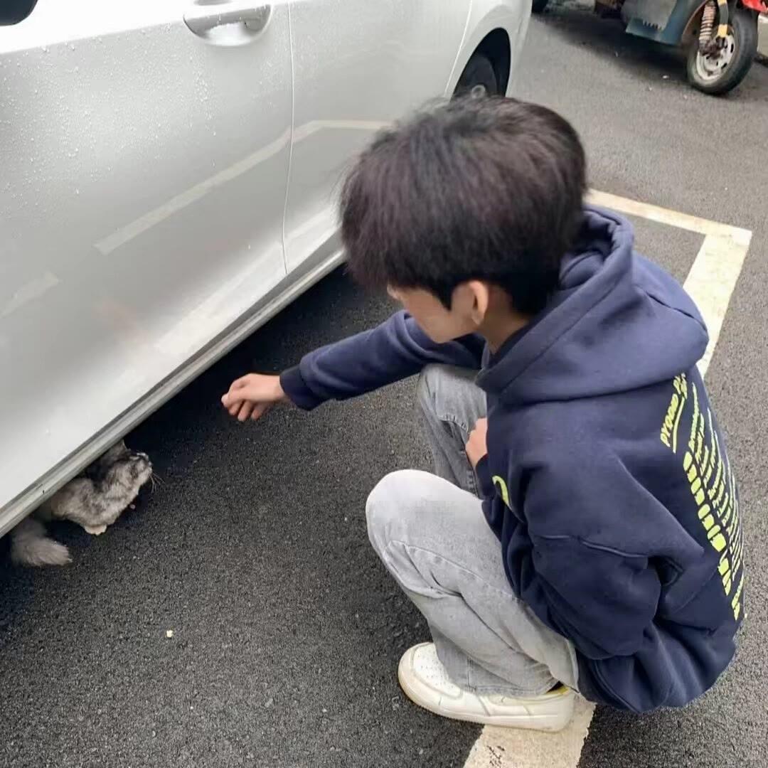 努力有素质
