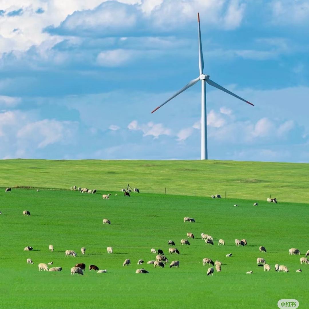 云在青天水在瓶