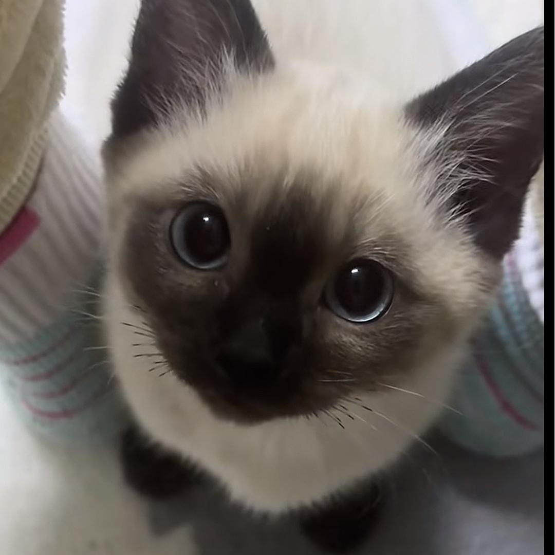 云起