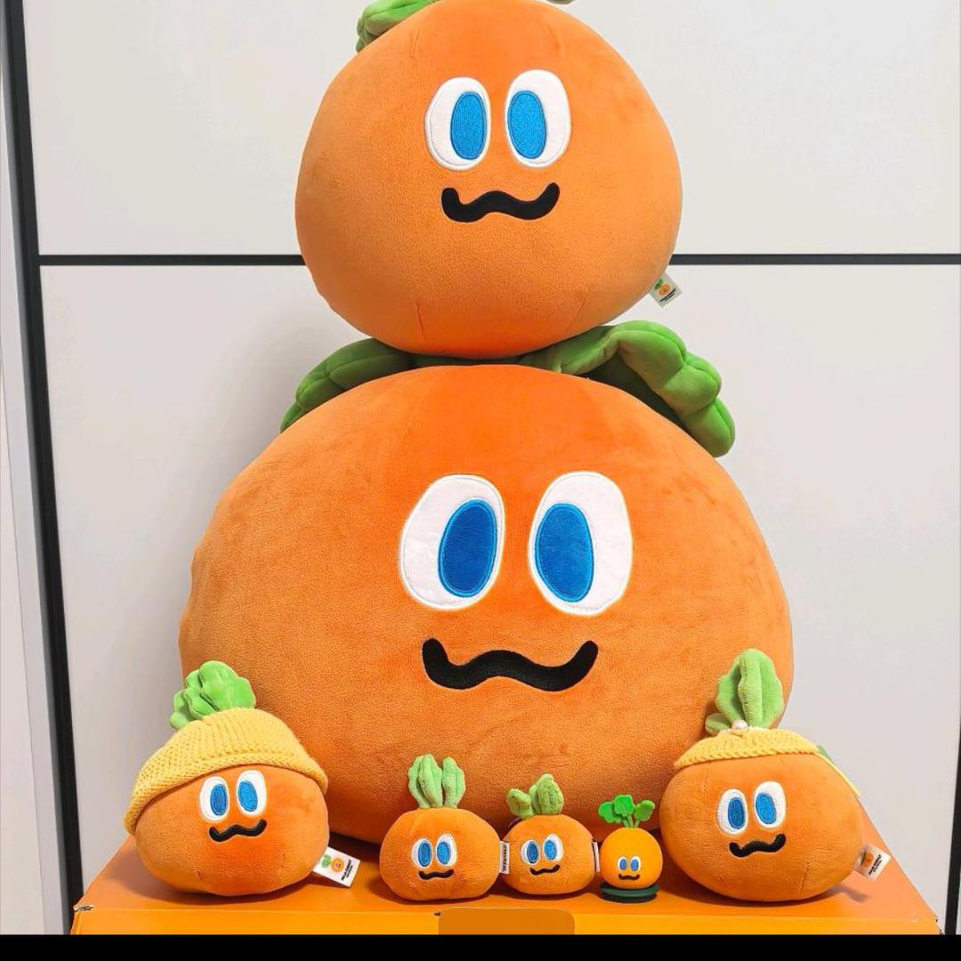 OAOA🥕