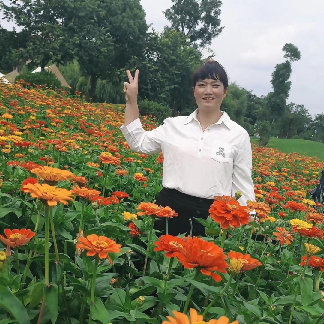 云淡风清