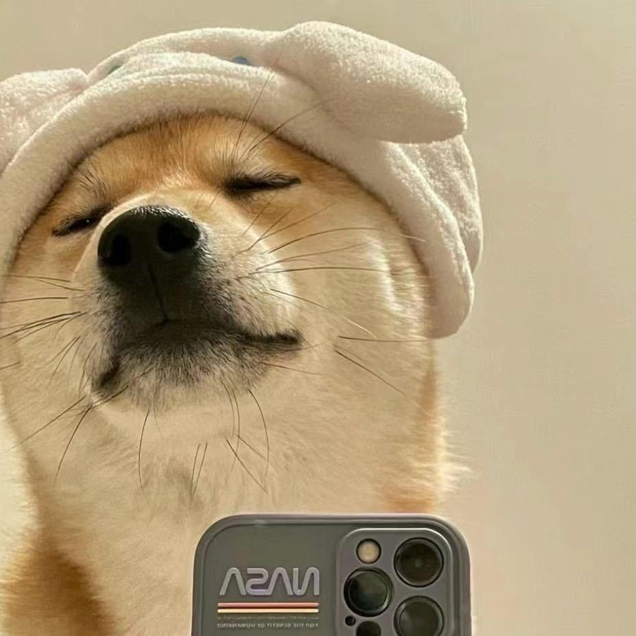 夯大李