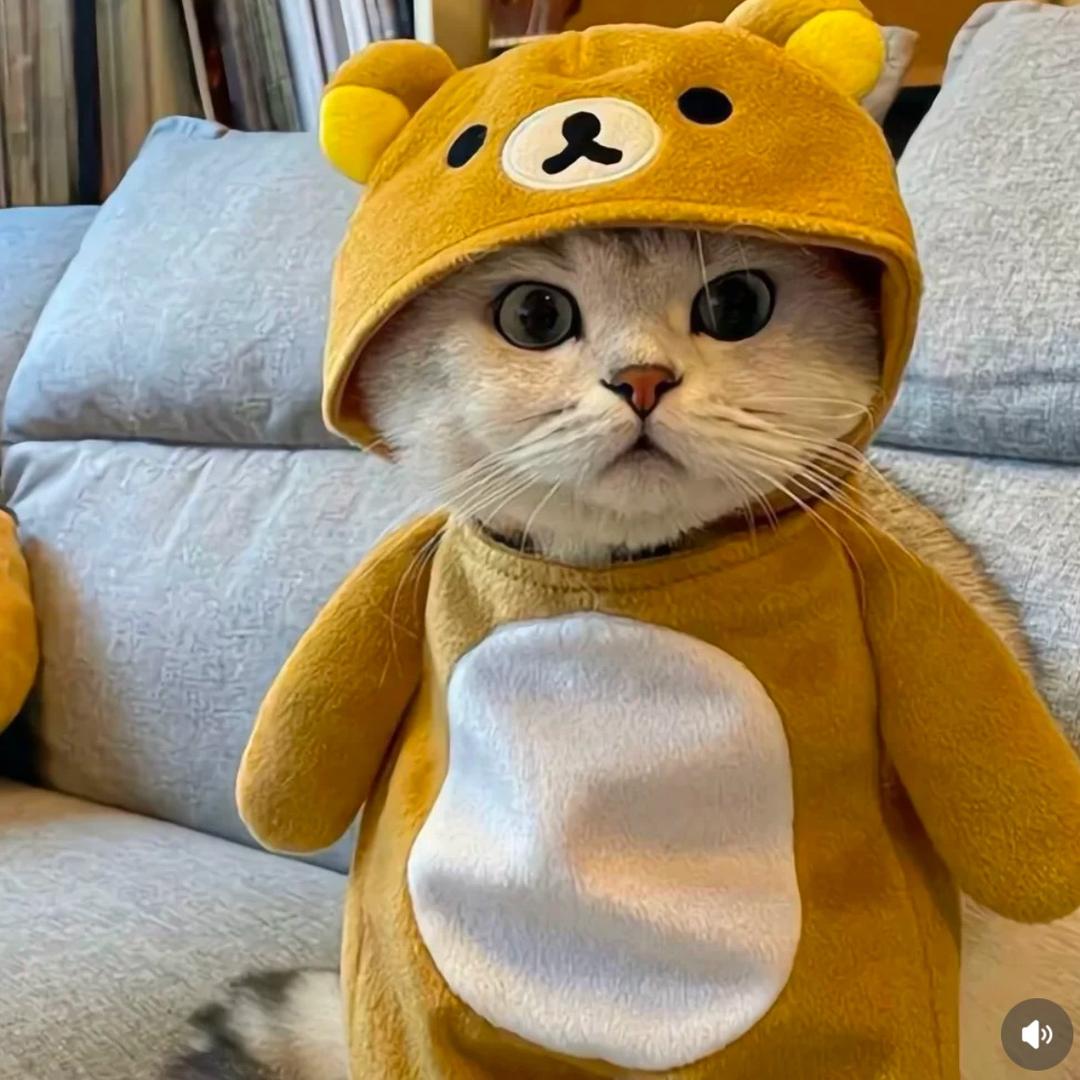 偷偷看
