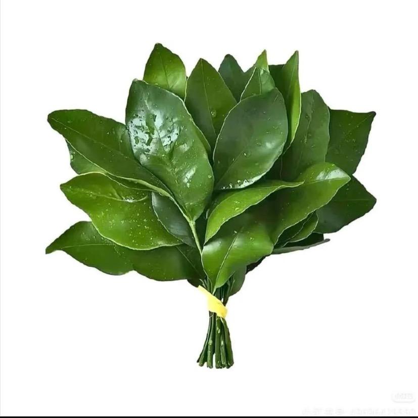 我的团团好可爱（四八六四）¹⁶⁸