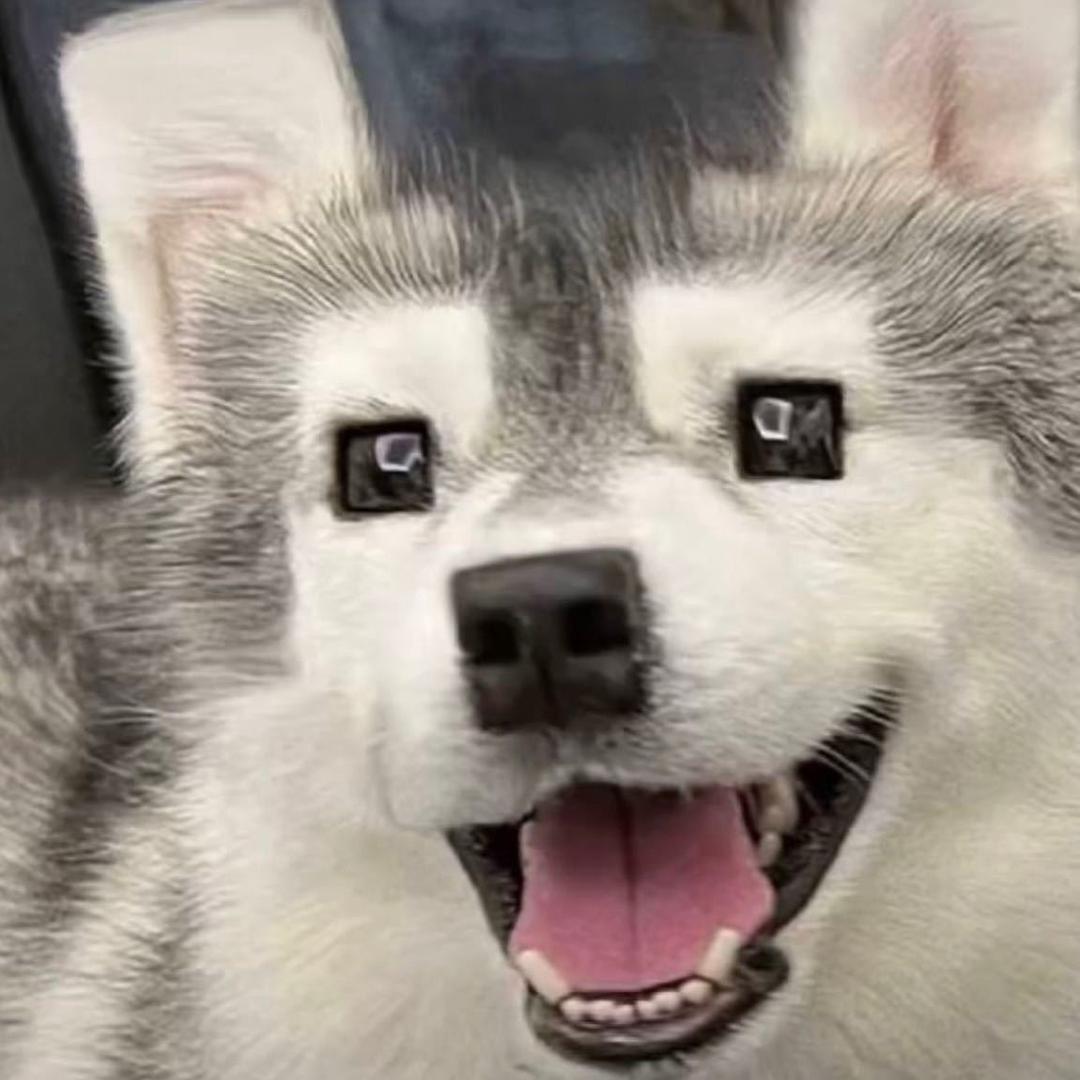 維·🚭