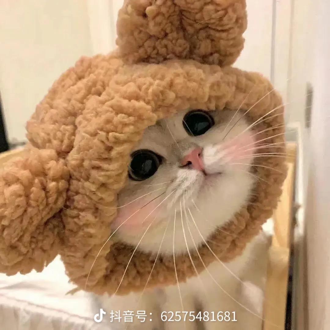 加一优选