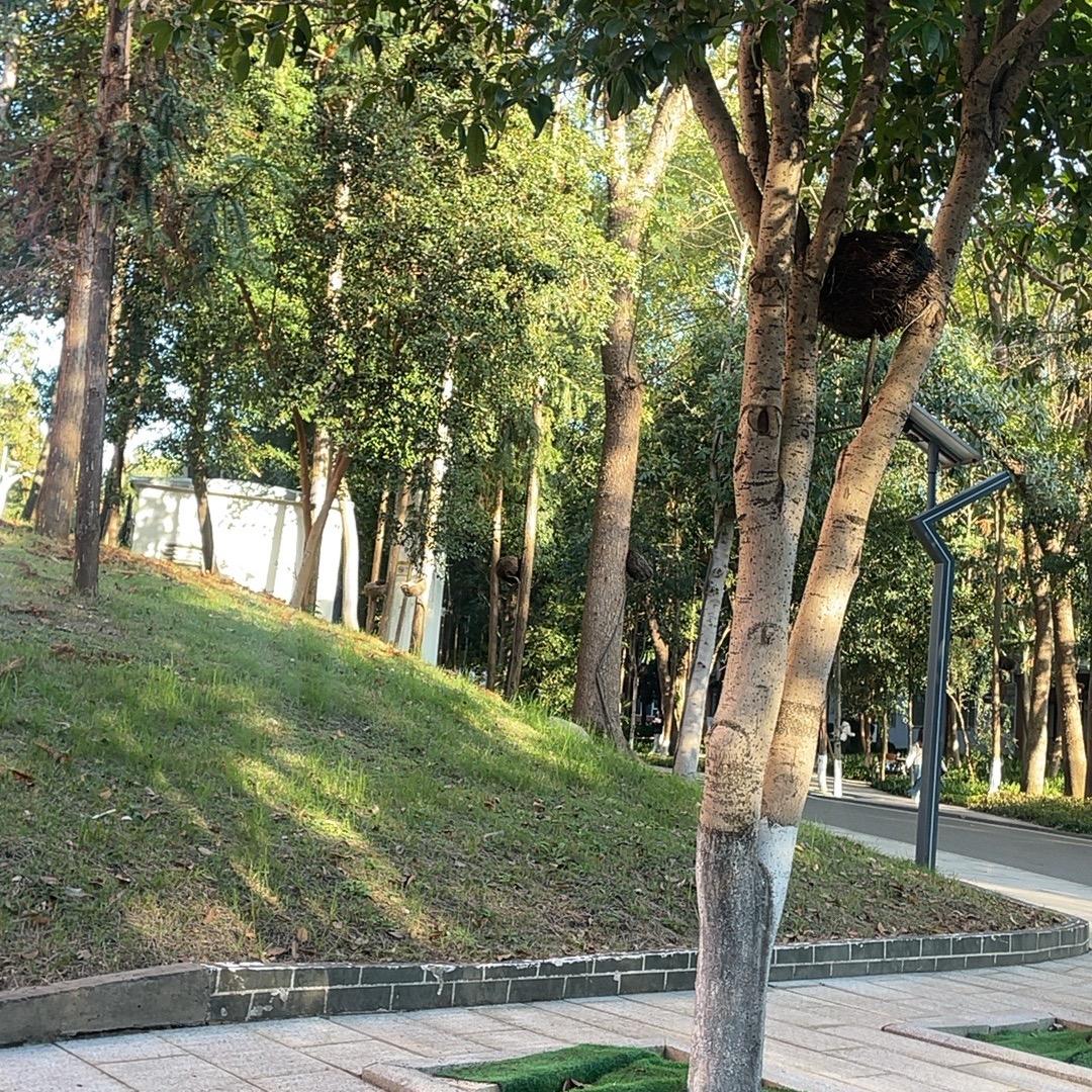 长沙凯发传媒有限公司行政 jack