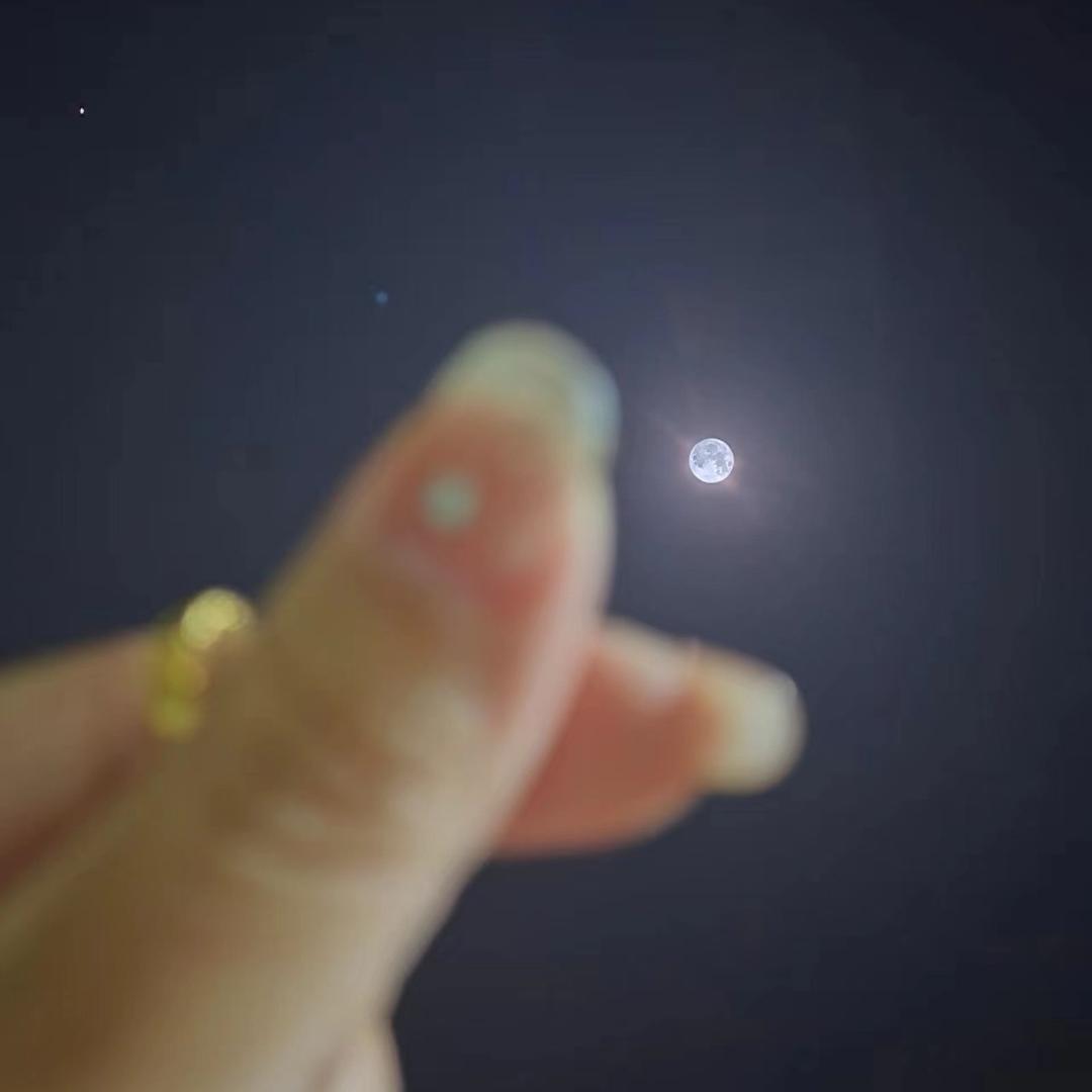 壹壹壹柒  '