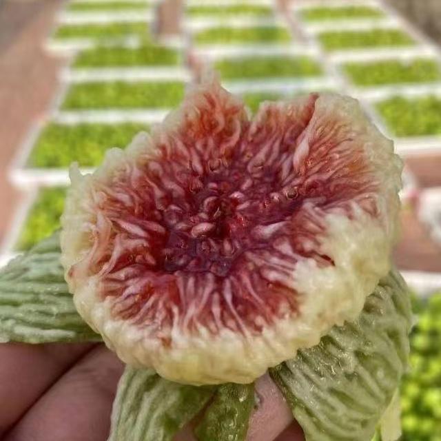 威海威乐美生鲜好货店