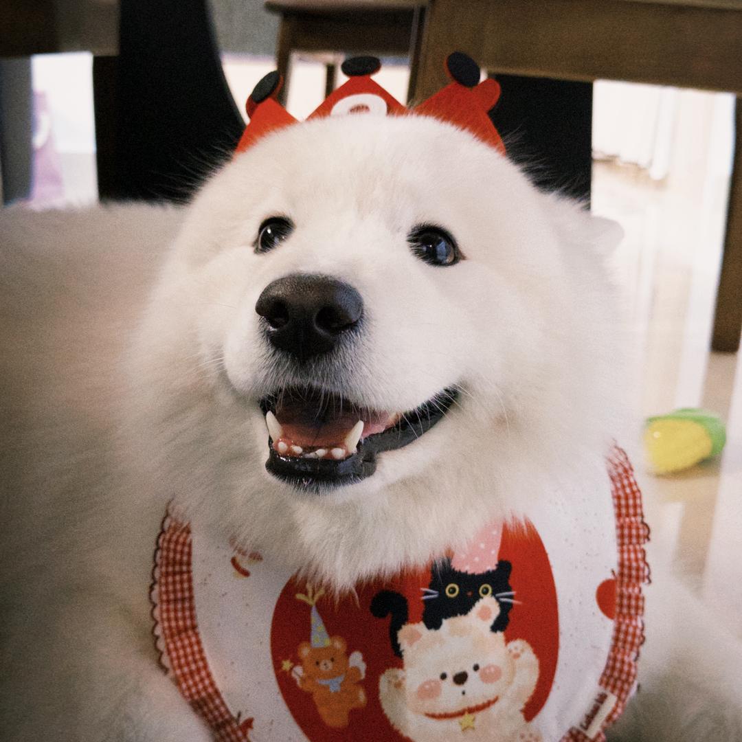 Dimples（小葵版）