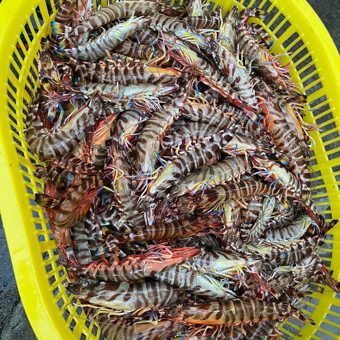 渔民码头海鲜店（卫少）