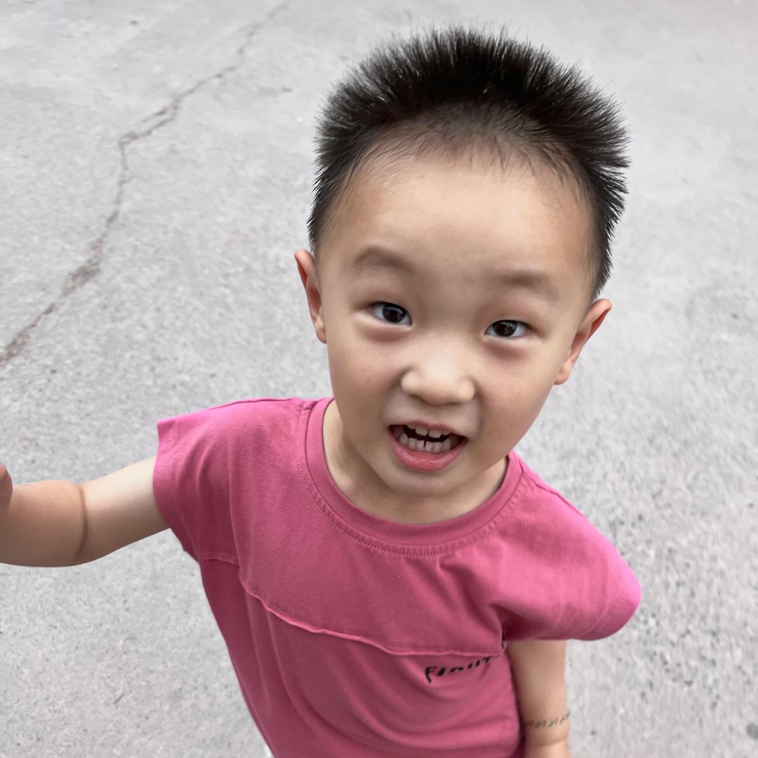 毛吒吒