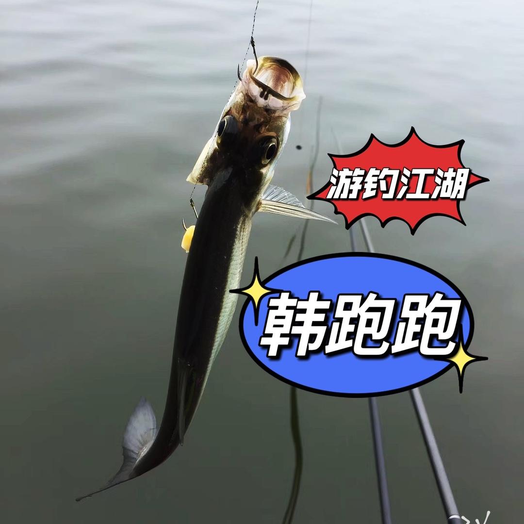 游钓江湖韩跑跑