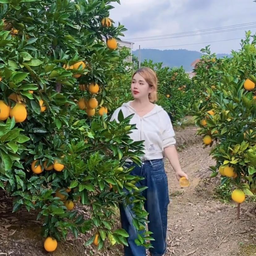 赖姐（赣南脐橙原产地🔥）
