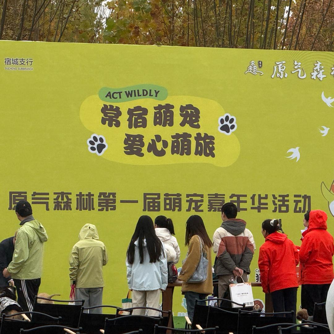 常宿萌宠，爱心萌旅