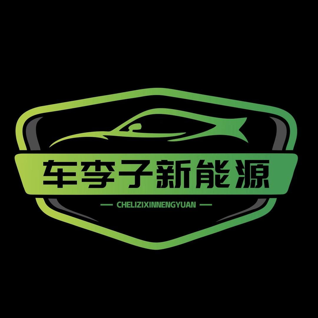 陈小刀-西安车李子新能源