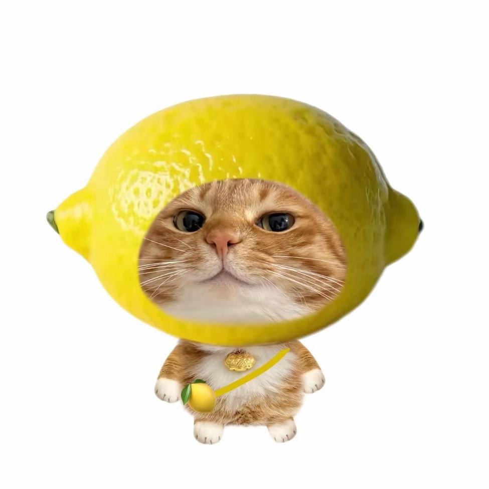 意于你.