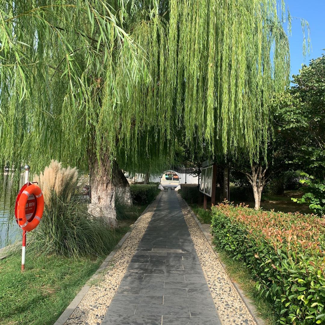 开心购物淘淘乐