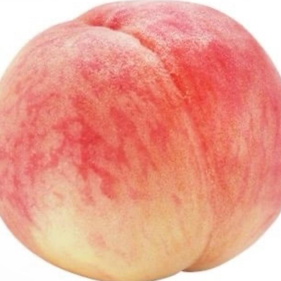 多萝西 Dorothy💜