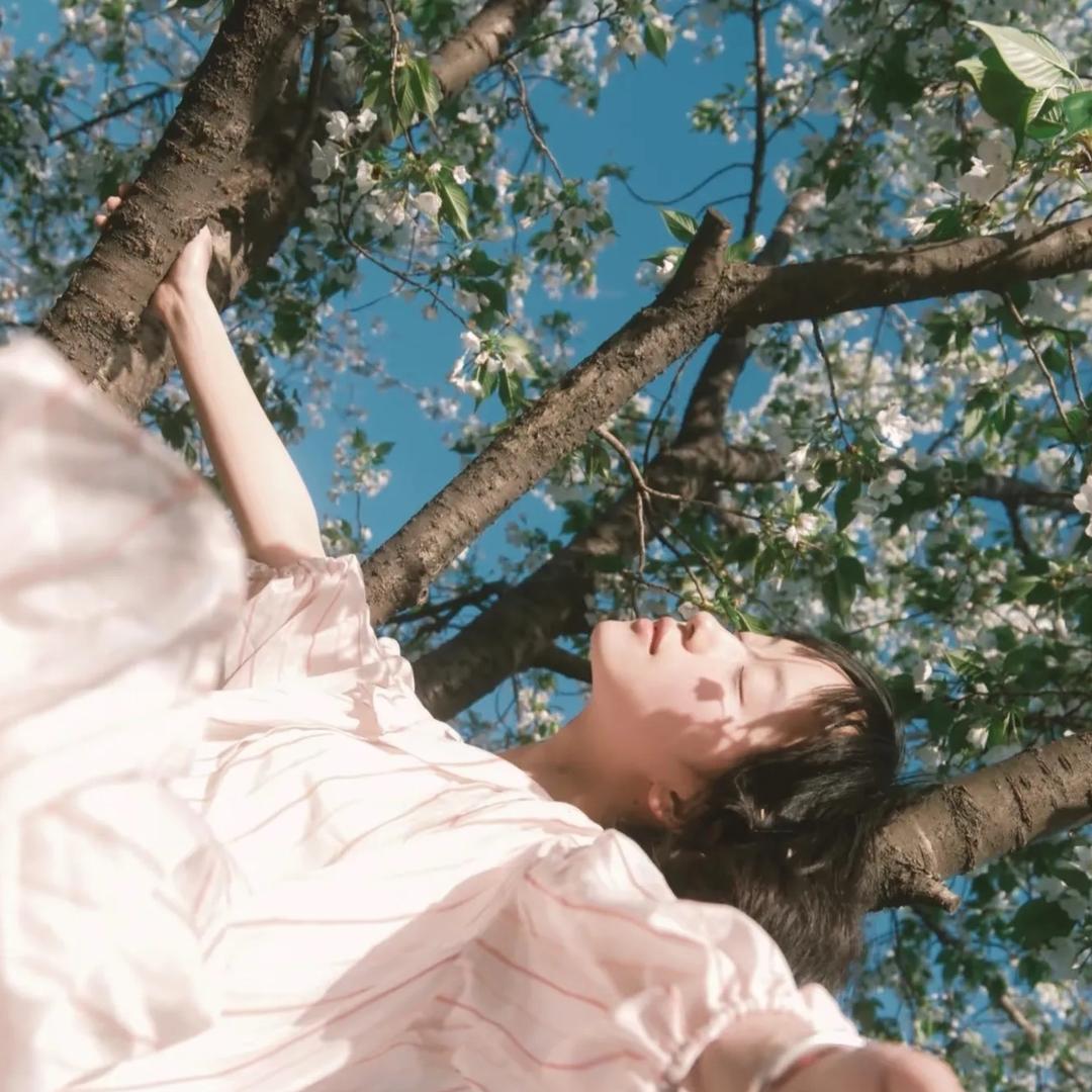 云边有个花草铺