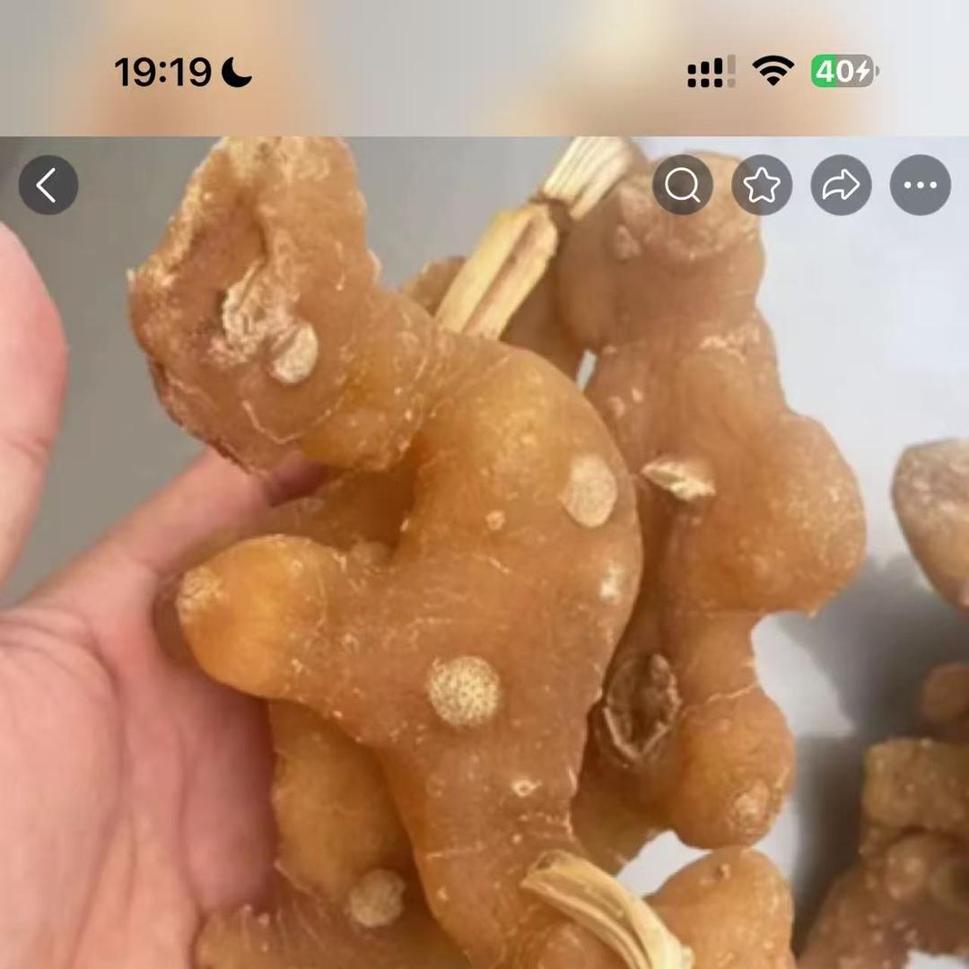 l源头山货